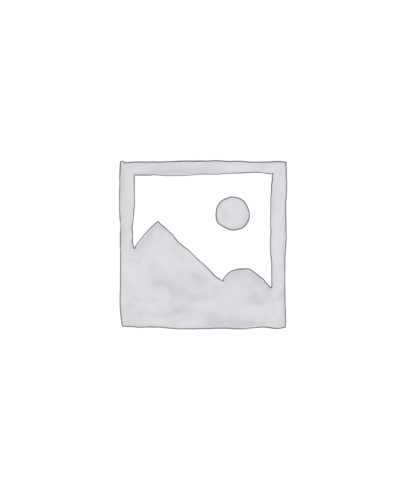 Aspiratoare industriale